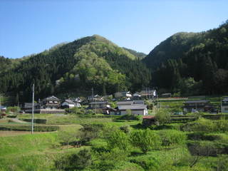 93V82CC8BB497A720252.jpg